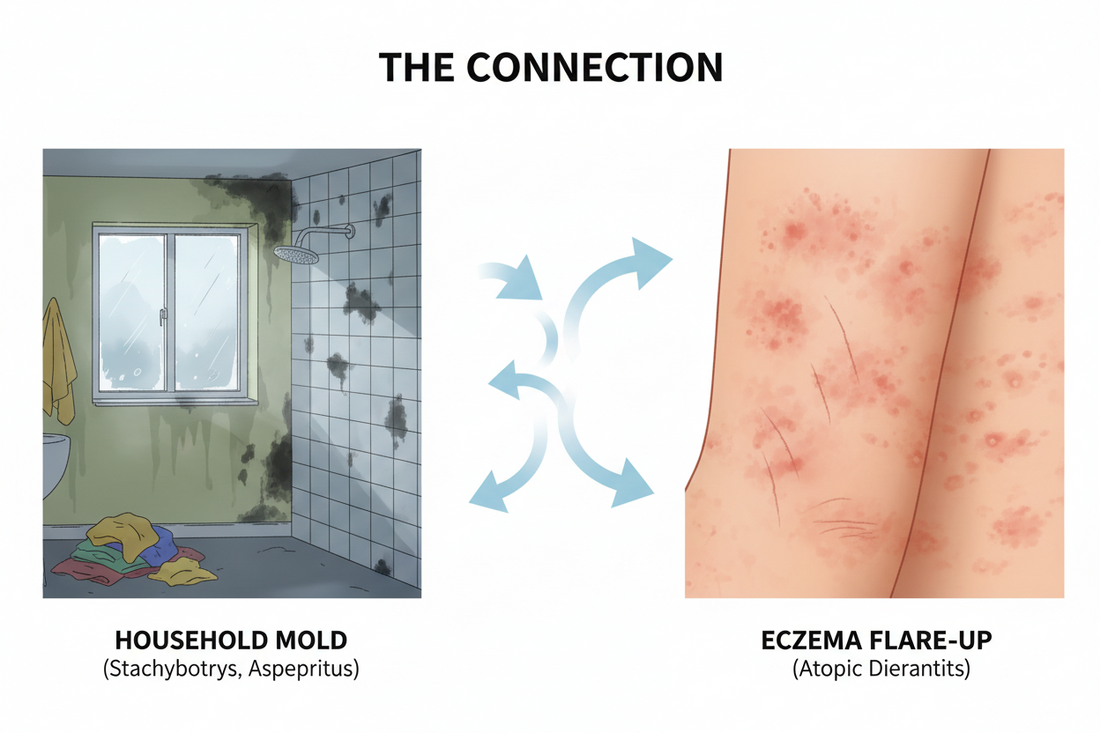 mold - The Hidden eczema Trigger in Your Home