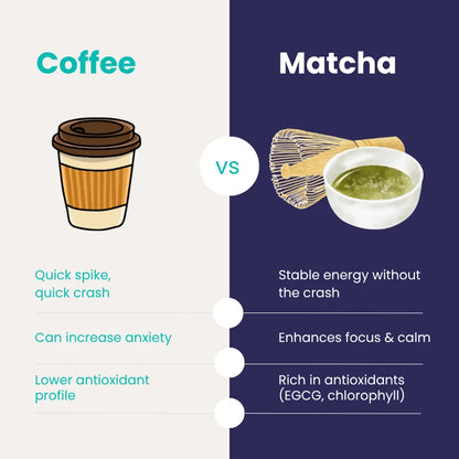 True Matcha – Ceremonial Japanese Green Tea Powder for Calm Energy & Focus