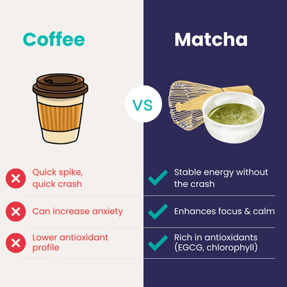 True Matcha – Ceremonial Japanese Green Tea Powder for Calm Energy & Focus
